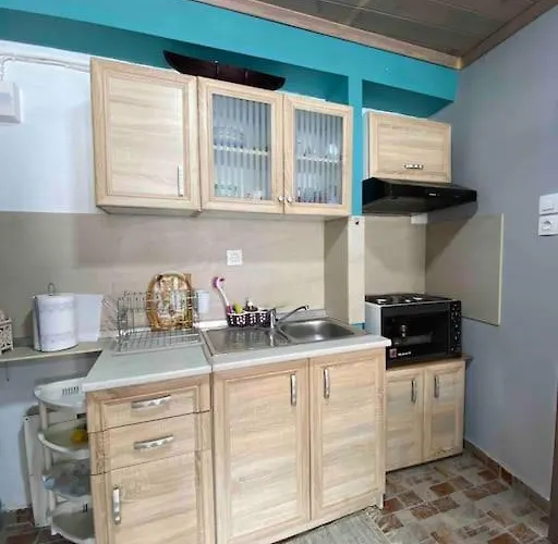 Apartment Cozy New Few Meters Away From Side. Leptokaryá